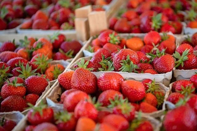 8 Dinge, die Sie ber Erdbeeren wissen sollten – denn die Saison beginnt schon bald