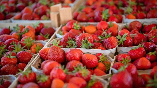 Die Erdbeere &#8211; die Knigin, die fast jeder mag.  | Foto: Sina Schuldt (dpa)