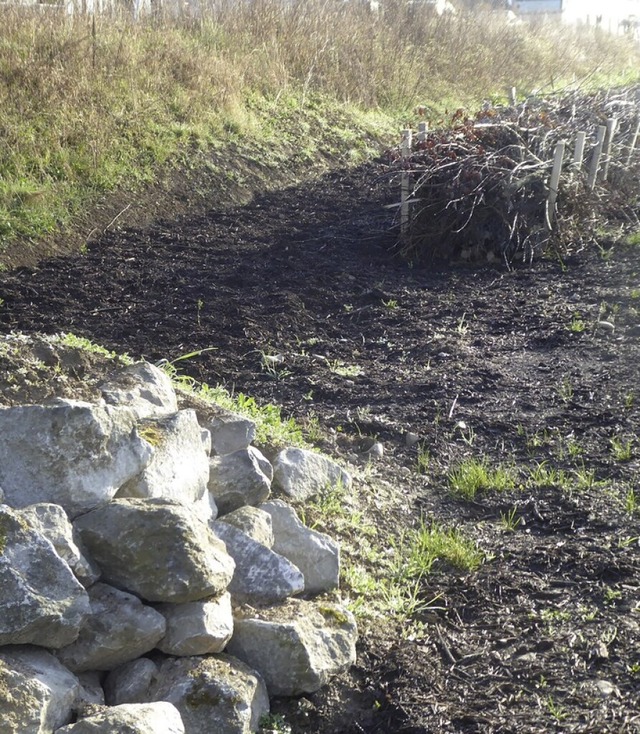 Eine Trockensteinmauer und eine Tothol...rbegebiets Frohmatten angelegt worden.  | Foto: Manfred Frietsch