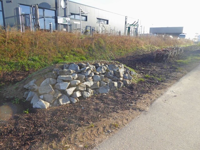 Eine Trockensteinmauer und eine Tothol...rbegebiets Frohmatten angelegt worden.  | Foto: Manfred Frietsch