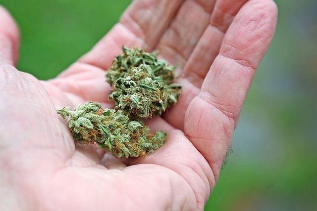 Bundesrat macht Weg fr Cannabis-Legalisierung frei