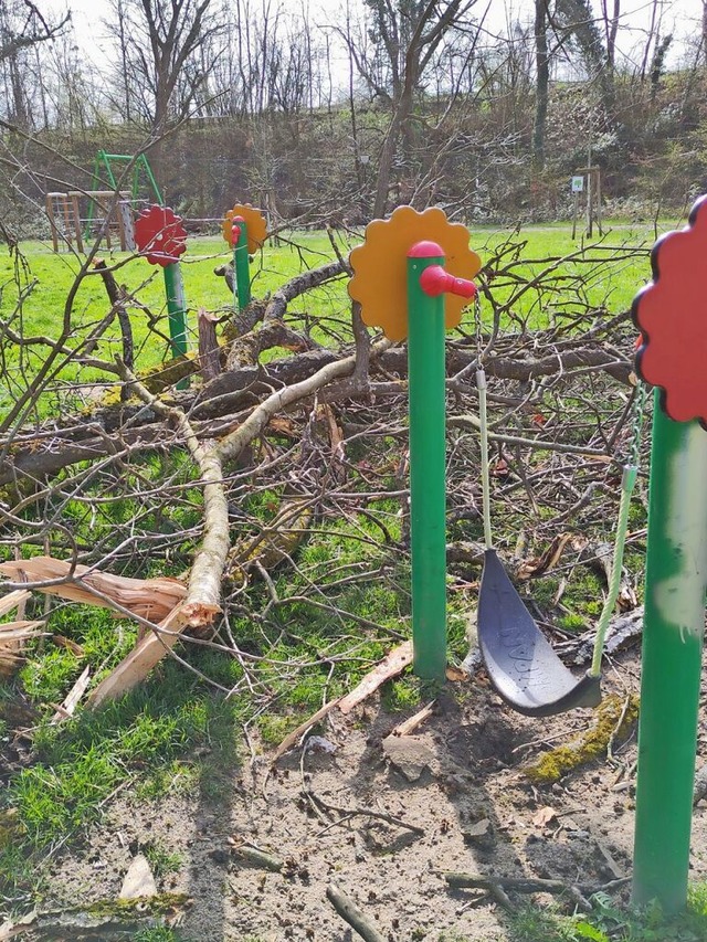 Bume sind  auf dem Spielplatz &#8222;Im Mooswald&#8220; umgefallen.  | Foto: Stadt Weil am Rhein