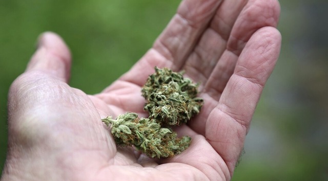Erwachsene sollen knftig bis zu 25 Gramm Cannabis besitzen drfen.  | Foto: Karl-Josef Hildenbrand (dpa)