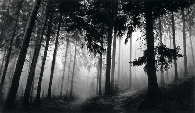 Diese Kohlezeichnung von Robert Longo ... Ausstellung &#8222;Waldeslust&#8220;.  | Foto: Robert Longo Studio