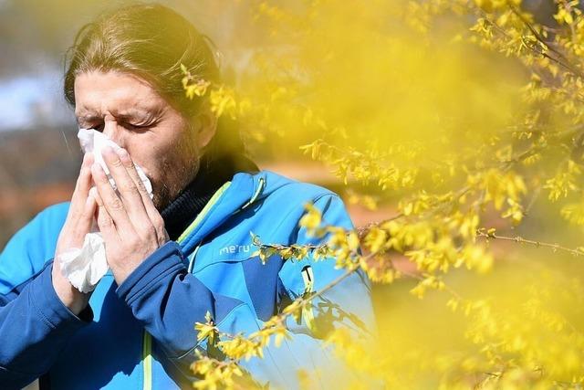Heuschnupfen? Neun Fragen zu Allergie-Medikamenten