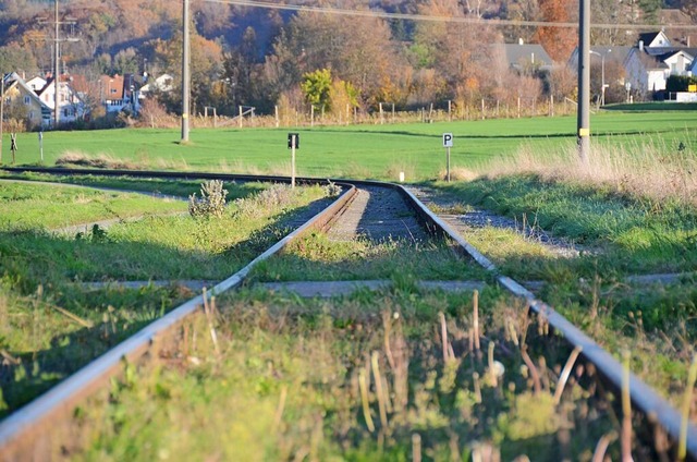 Gleise der Kandertalbahn zwischen Rmmingen auf Wittlingen  | Foto: Moritz Lehmann