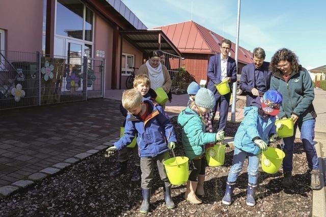 Blumenwiese vor Kindergarten angelegt