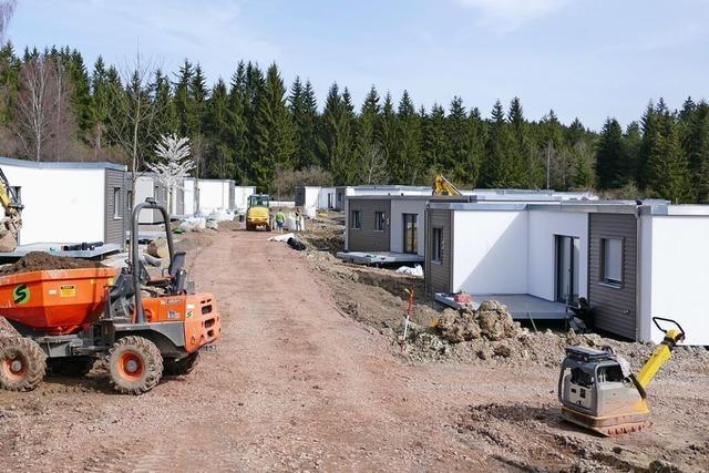 Tiny-House-Dorf in Lffingen startet mit weniger Husern als geplant