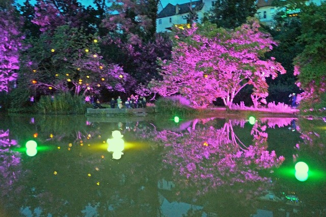 Lichtspiegelungen auf dem Kurparkweihe...im Zuge eines Frderprogramms  erhlt.  | Foto: Silke Hartenstein