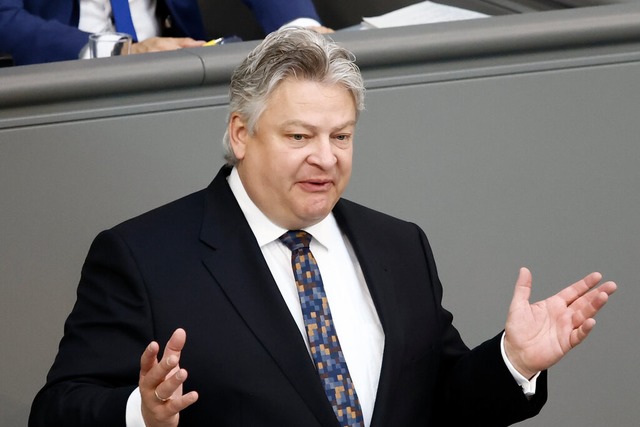 Thomas Seitz im Bundestag (Archivbild)  | Foto: Carsten Koall (dpa)