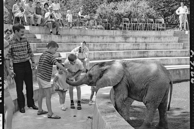 Der Basler Zoo prsentiert seine Geschichte - auch die dunklen Kapitel