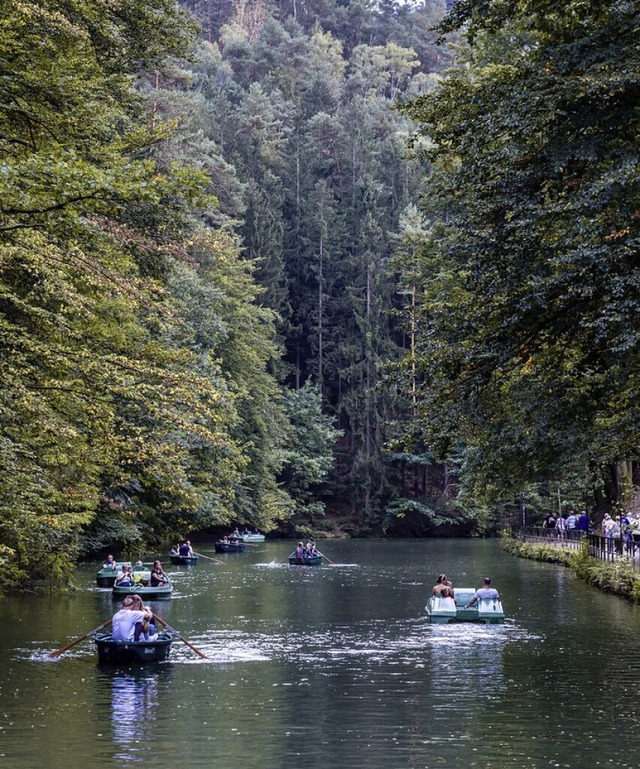 Der Amselsee ist beliebtes Ausflugsziel.  | Foto: Frank Hammerschmidt (dpa)