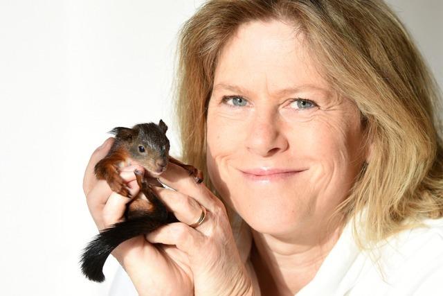Diese Freiburgerin zieht hilfsbedrftige Eichhrnchen von Hand auf