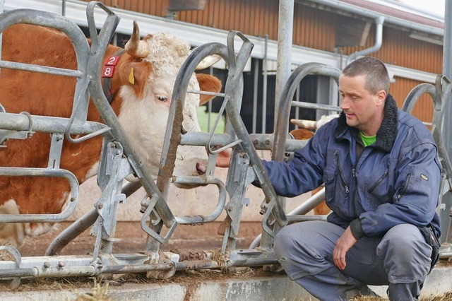 Der Markt mache es auch den ko-Bauern...hin nach ko-Standards bewirtschaften.  | Foto: Stefan Limberger-Andris