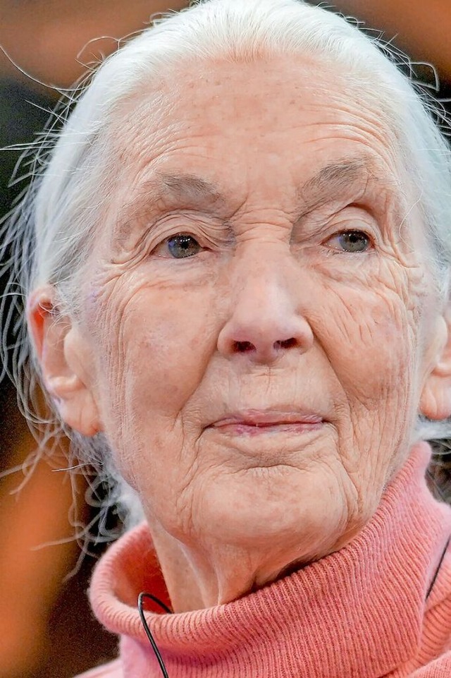 Jane Goodall  | Foto: Markus Schreiber (dpa)