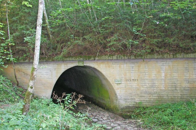 Unter dem Damm der frheren B31 zwisch...ngen befindet sich ein kleiner Tunnel.  | Foto: Christa Maier