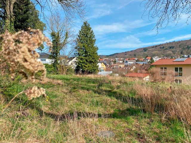 Das geplante Baugebiet in der Hochstrae ist umstritten.  | Foto: Mark Alexander