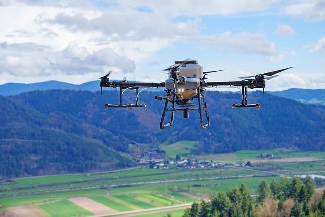 Samenaussaat per Drohne soll schwer zugngliche Kahlstellen im Ortenauer Wald schlieen