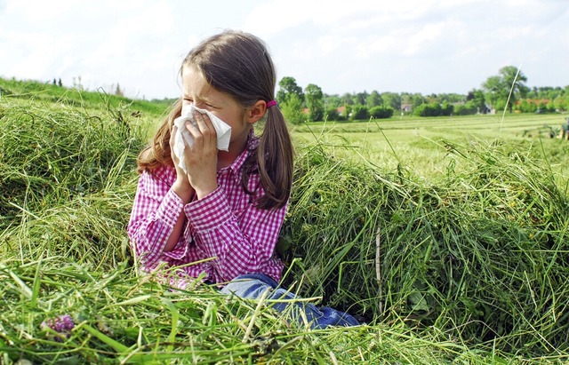 Das juckt! Auf die Pollen im Gras reagieren manche Menschen allergisch.  | Foto: photophonie (stock.adobe.com)