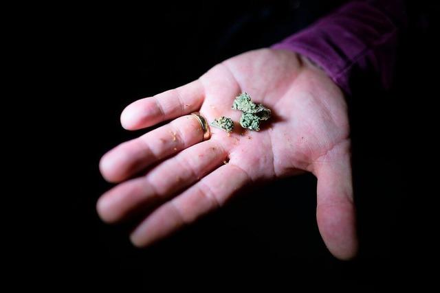 Das Cannabisgesetz sorgt fr neue Freiheiten – und Unklarheiten bei Behrden