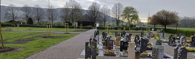 Der Luttinger Friedhof wird neu gestal... Amberbume wurden bereits gepflanzt.   | Foto: Reinhard Herbrig
