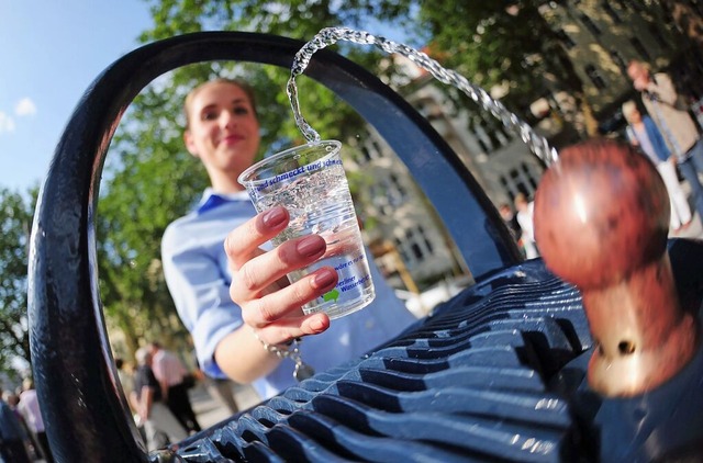 So  oder hnlich knnte der Trinkbrunnen beim Schlaich-Turm aussehen.  | Foto: Michael Hanschke