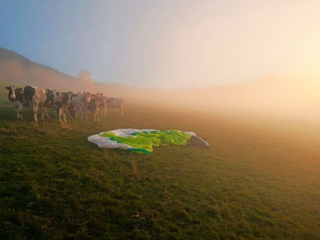 Ein ungewhnlicher Gleitschirm-Landeplatz.  | Foto: Markus Endres