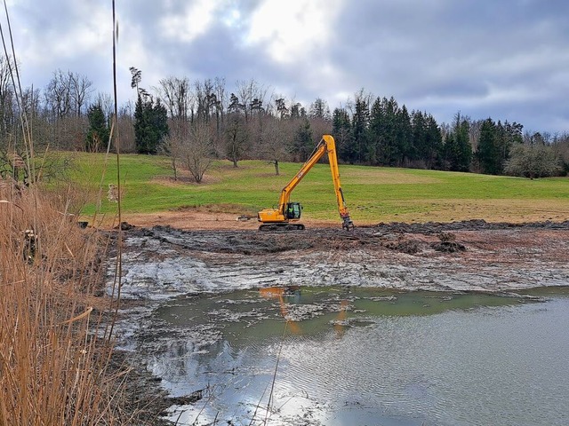 Aufwndiger Naturschutz: Ein Bagger entschlammt den Minselner Bleichweiher.  | Foto: M. Strittmatter