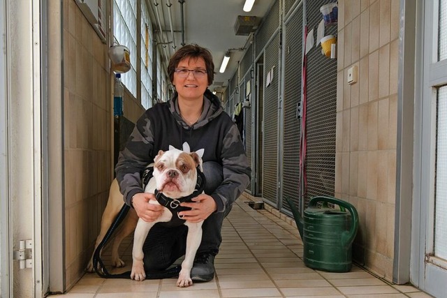 Tina Gwildies leitet seit 2004 das Tierschutzzentrum.  | Foto: Sophia Hesser