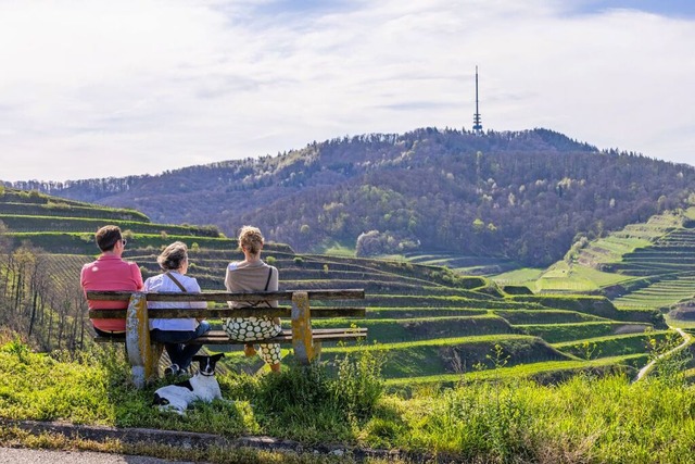 Drei Menschen sitzen auf einer Bank in Vogtsburg, mit Blick auf den Kaiserstuhl.  | Foto: Philipp von Ditfurth (dpa)
