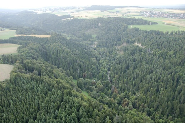 Die Hnge der Wutachschlucht (unsere L...Gschweiler (oben links)  zu erkennen.  | Foto: Juliane Khnemund