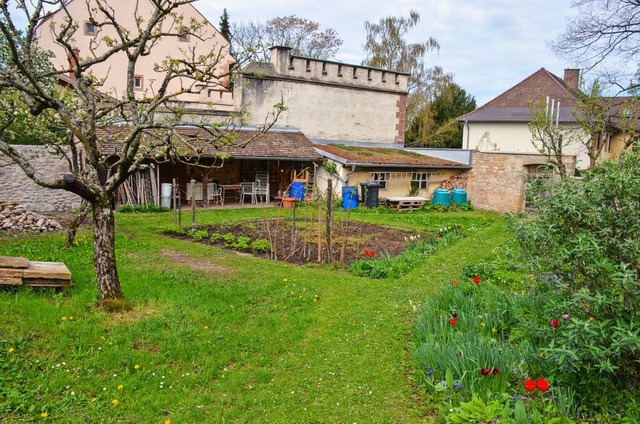 Der unterere Bereich des Schlossgarten...atgarten und der sanierten Mauer links  | Foto: Gabriele Hennicke