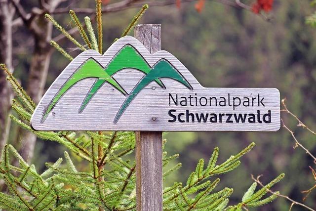 Die Erweiterung des Nationalparks Schwarzwald rckt nher