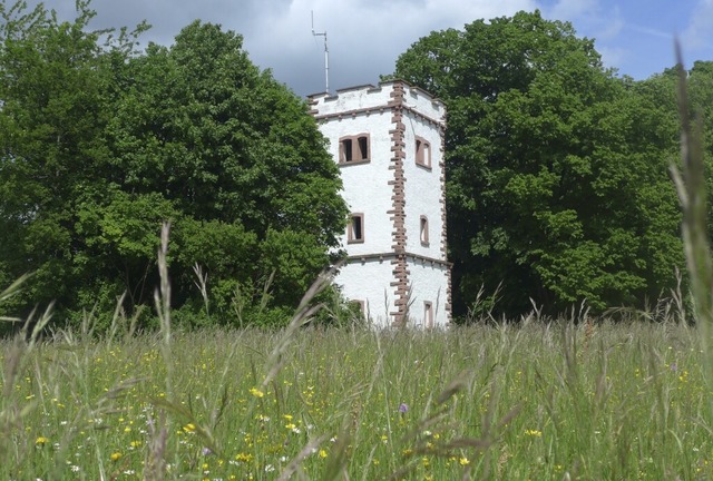 Der Hohe-Flum-Turm wird dieses Jahr 15...en rundherum stehen unter Naturschutz.  | Foto: Angelika Schmidt