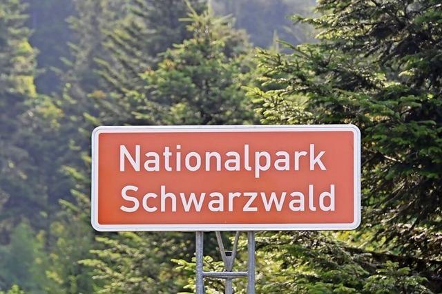 Es kommt Bewegung in die Erweiterungsplne zum Nationalpark Schwarzwald