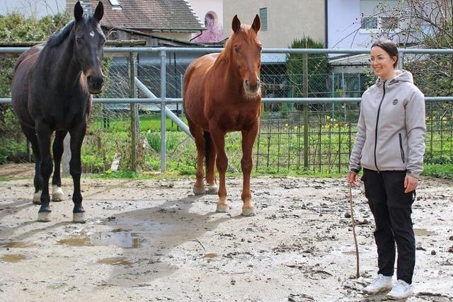 Bei ihrem Pferde-Coaching lsst eine junge Vogtsburgerin die Grenzen testen