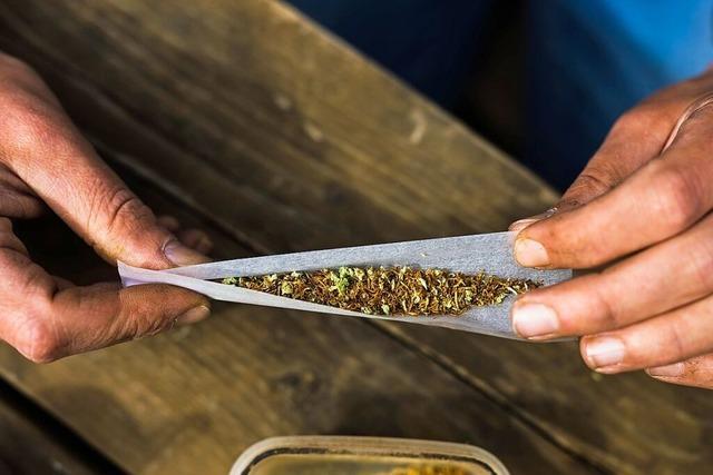 Polizei und Behrden in Sdbaden: Cannabis kann derzeit noch nicht aus legalen Quellen stammen