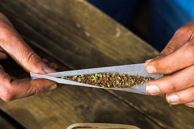 Cannabis, das zurzeit im Umlauf ist, k...den nicht aus legalen Quellen stammen.  | Foto: Philipp von Ditfurth (dpa)