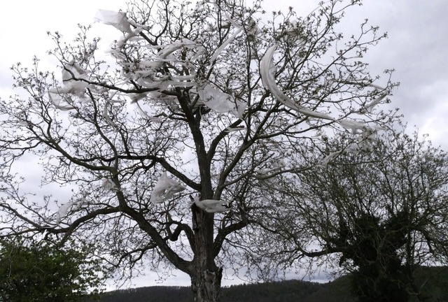 Vom Winde verweht: Plastikplanen in  Baumwipfeln sorgen fr rger.    | Foto: Heinz und Monika Vollmar