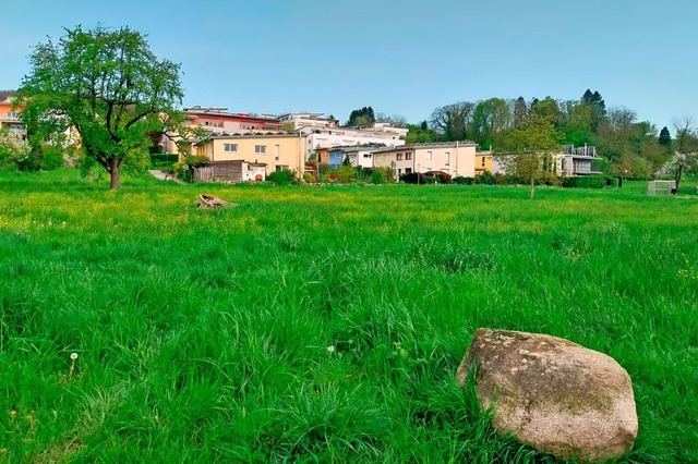 Auf der Wiese beim Bolzplatz in Stetten soll die Unterkunft errichtet werden.  | Foto: Pascal Gramespacher