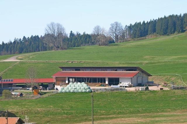 Landwirte in Dachsberg zweifeln am Herdenschutzprojekt