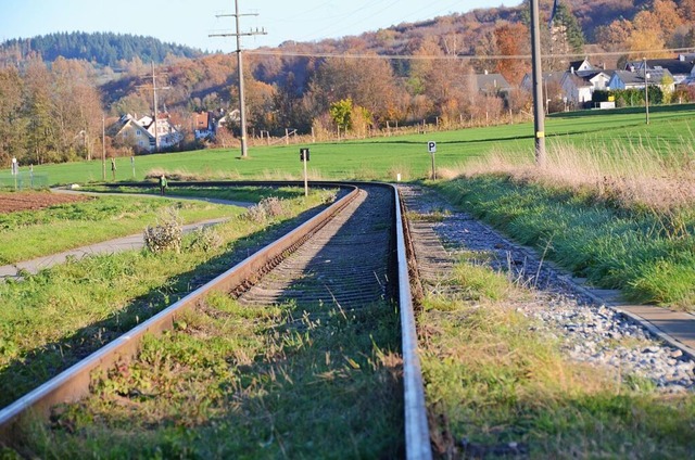 Die Gleise der Kandertalbahn,  hier be...tionen fr eine S-Bahn genutzt werden.  | Foto: Moritz Lehmann