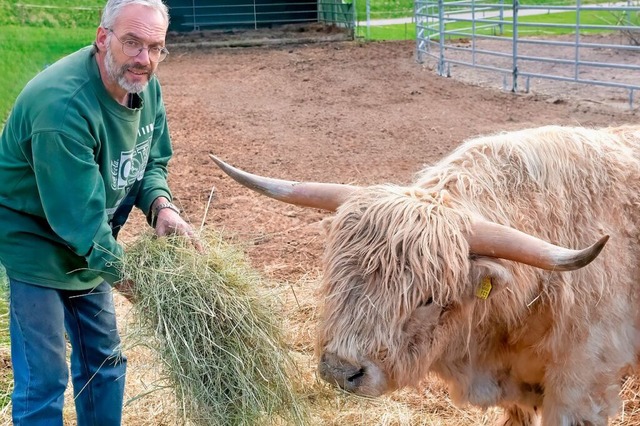 Die schottischen Hochlandrinder fressen Clemens Stoll aus der Hand.  | Foto: Wolfgang Scheu