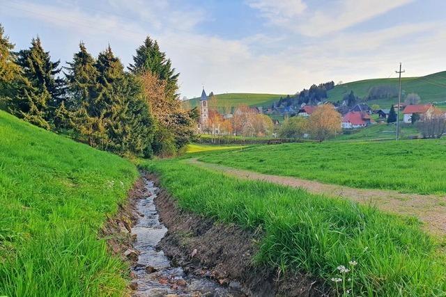 Gersbachs groer Traum vom Teich ist geplatzt