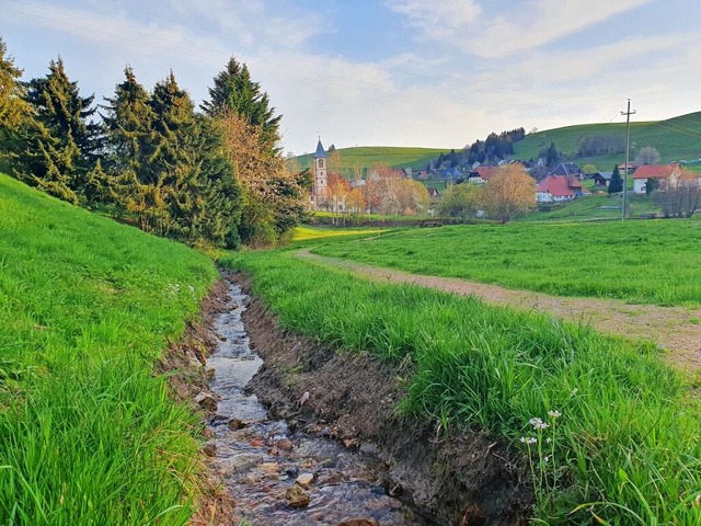 Einen groen  Teich in der Brunnmatt, ...olungs- und Verweiloase&#8220; machen.  | Foto: Andr Hnig
