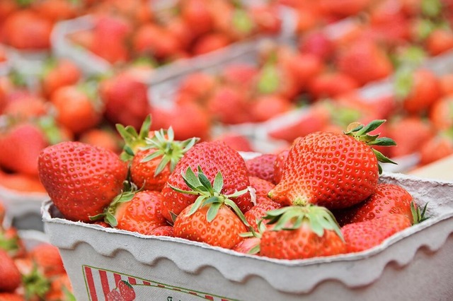 Schon bald sind die Marktstnde wieder voll mit Erdbeeren.  | Foto: Kathrin Blum