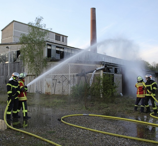 Franzsische Feuerwehrmnner in schwar...meinsam den Lscheinsatz bei Hartheim.  | Foto: Otmar Faller