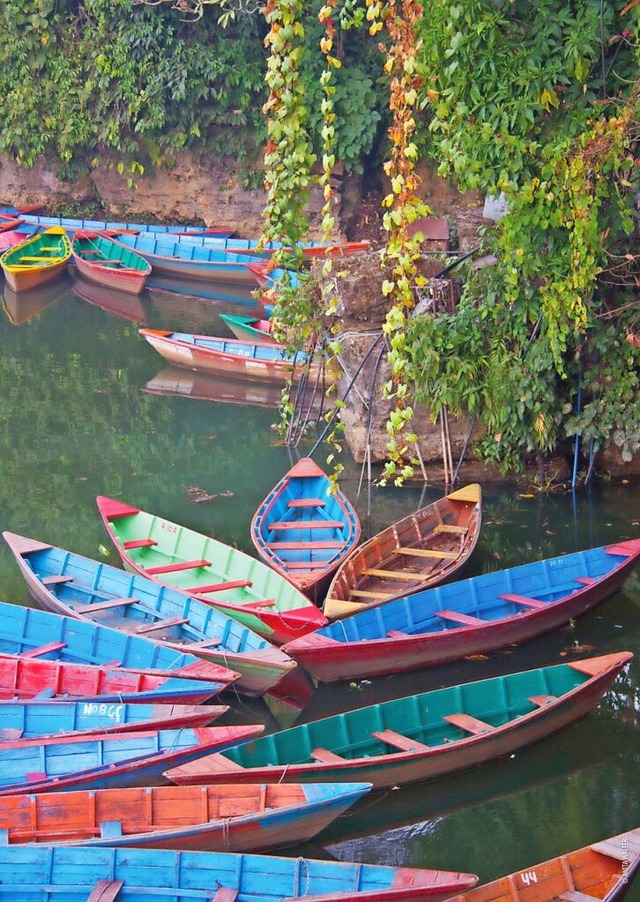 Fast wie bei einer Blte sind diese Ho... auf einem Fluss in Asien angeordnet.   | Foto: Anita Walter