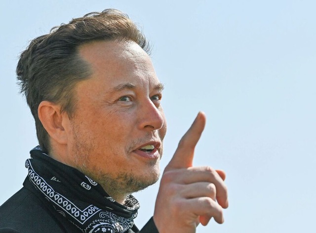 Musk will Geld fr Grundfunktionen verlangen.  | Foto: Patrick Pleul (dpa)