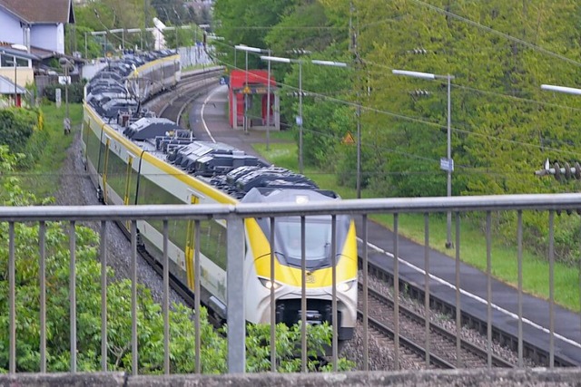 Die Rheintalbahn soll bei Schallstadt ...emeinderte in  Schallstadt kritisch.   | Foto: Reinhold John